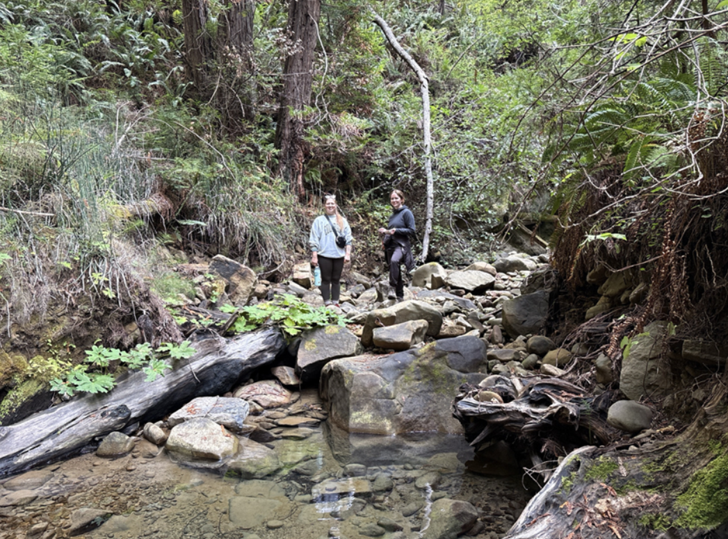 Fish passage barrier detection fieldwork