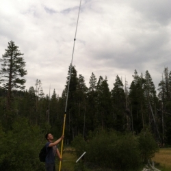 Mr. Long Arm Painter Pole