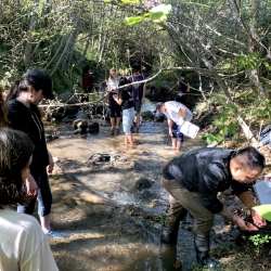 Environmental Studies students doing creek field work